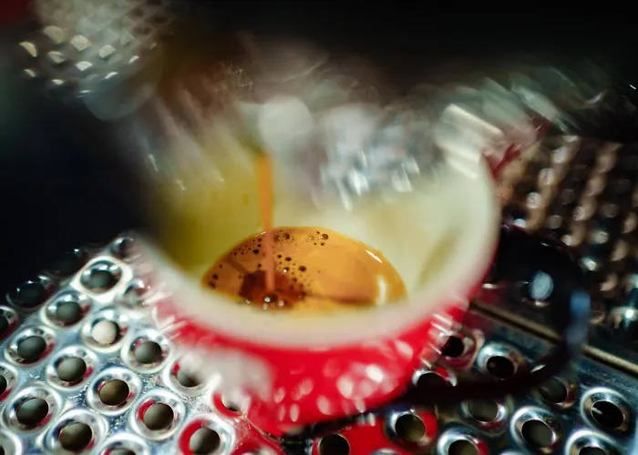 Hotell Bacolux Koralio,