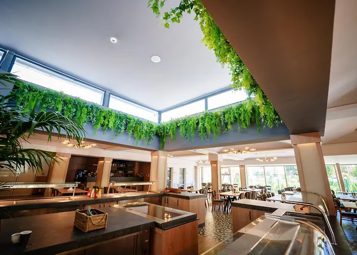 Bacolux Koralio, Hotell