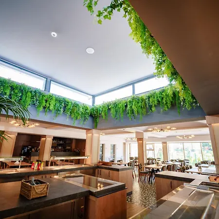 Bacolux Koralio, 호텔