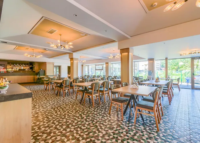 Bacolux Koralio, Észak-Eforie